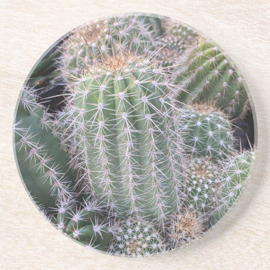 Cactus Zandsteen Onderzetter (Voorkant)