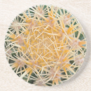 Cactus Zandsteen Onderzetter