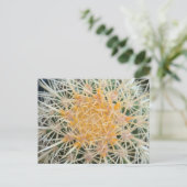 Cactusansichtkaart Briefkaart (Staand voorkant)