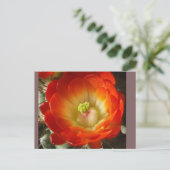 Cactusbloem Ansichtkaart Briefkaart (Staand voorkant)
