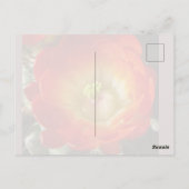 Cactusbloem Ansichtkaart Briefkaart (Achterkant)