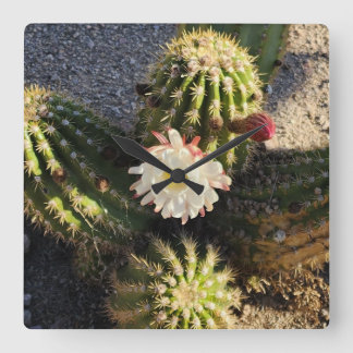 Cactusbloem Foto Vierkante Klok