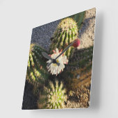 Cactusbloem Foto Vierkante Klok (Hoek)