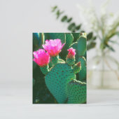 Cactusbloemen van de Beavertail Briefkaart (Staand voorkant)
