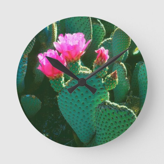 Cactusbloemen van de Beavertail Cactus Ronde Klok (Voorkant)