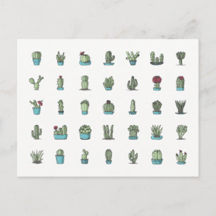 Cactusen Succulente Planten met hand getekend bota Briefkaart