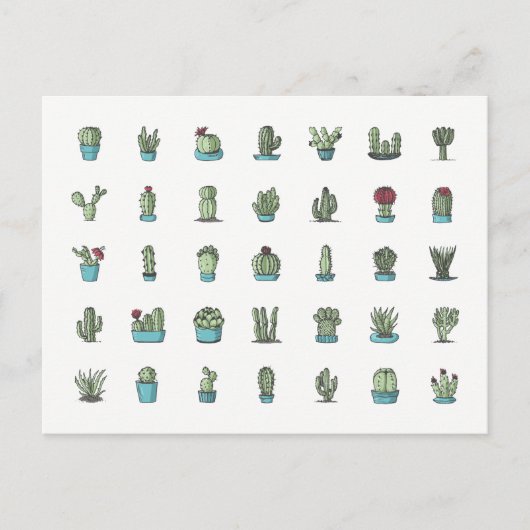Cactusen Succulente Planten met hand getekend bota Briefkaart (Voorkant)