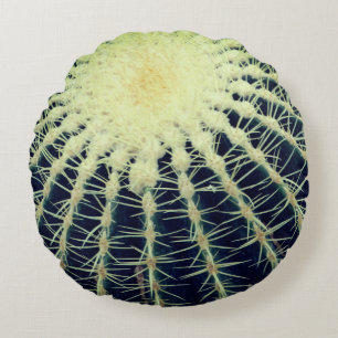 Cactusfotografie rond kussen