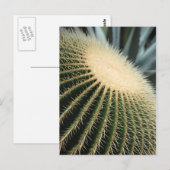 Cactuskaart Briefkaart (Voorkant / Achterkant)