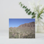 Cactuslandschap Briefkaart (Staand voorkant)