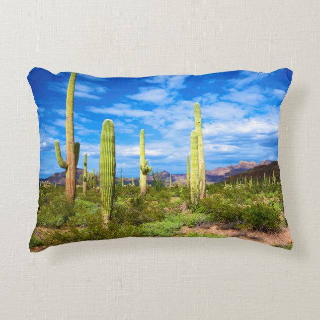 Cactuslandschap in de woestijn, Arizona Decoratief Kussen (Voorkant)