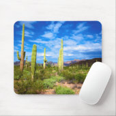 Cactuslandschap in de woestijn, Arizona Muismat (Met muis)