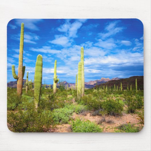 Cactuslandschap in de woestijn, Arizona Muismat (Voorkant)