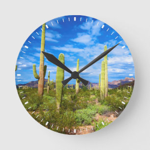 Cactuslandschap in de woestijn, Arizona Ronde Klok