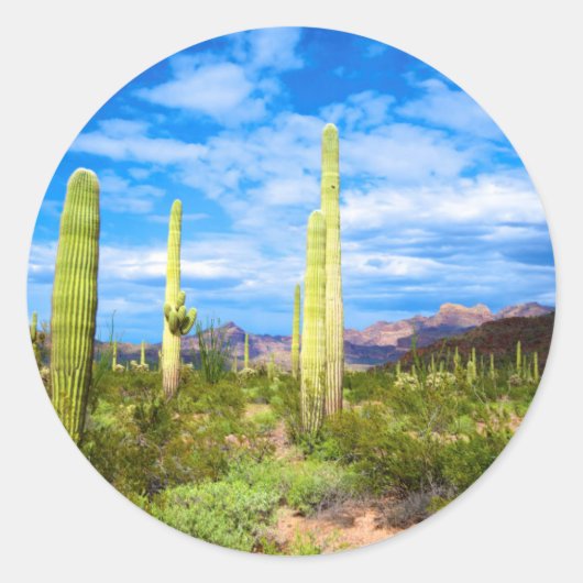 Cactuslandschap in de woestijn, Arizona Ronde Sticker (Voorkant)