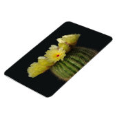 Cactusmagneet Magneet (Linkerzijde)