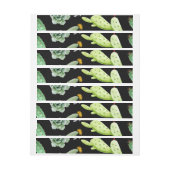 Cactuspatroon 2 (Vel)