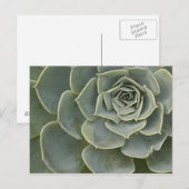 Cactuspatroon Briefkaart (Voorkant / Achterkant)