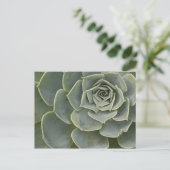 Cactuspatroon Briefkaart (Staand voorkant)