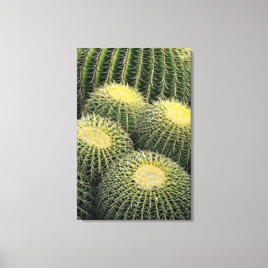 Cactuspatroon Canvas Afdruk (Voorkant)