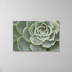 Cactuspatroon Canvas Afdruk