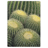 Cactuspatroon Klembord (Achterkant)
