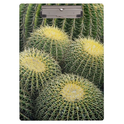 Cactuspatroon Klembord (Voorkant)
