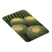 Cactuspatroon Magneet (Rechterzijde)