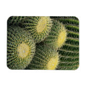 Cactuspatroon Magneet (Horizontaal)