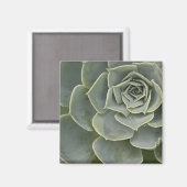 Cactuspatroon Magneet (Voorkant / Achterkant)