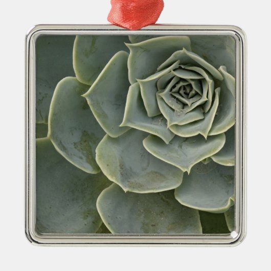 Cactuspatroon Metalen Ornament (Voorkant)