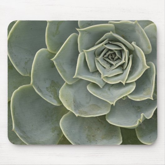 Cactuspatroon Muismat (Voorkant)