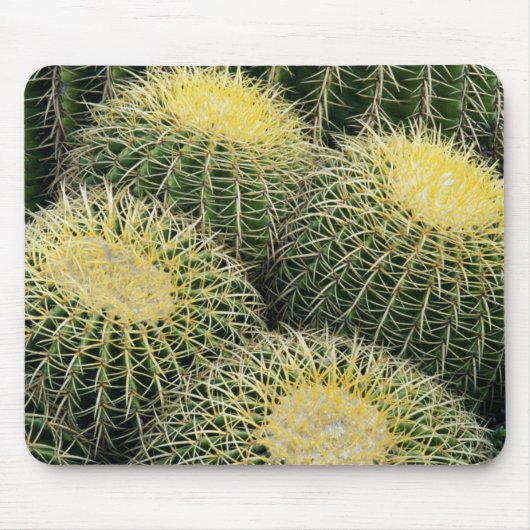 Cactuspatroon Muismat (Voorkant)