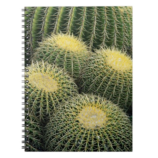 Cactuspatroon Notitieboek (Voorkant)