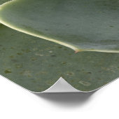 Cactuspatroon Poster (Hoek)