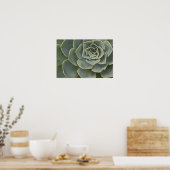 Cactuspatroon Poster (Keuken)