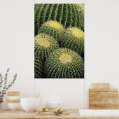 Cactuspatroon Poster (Keuken)