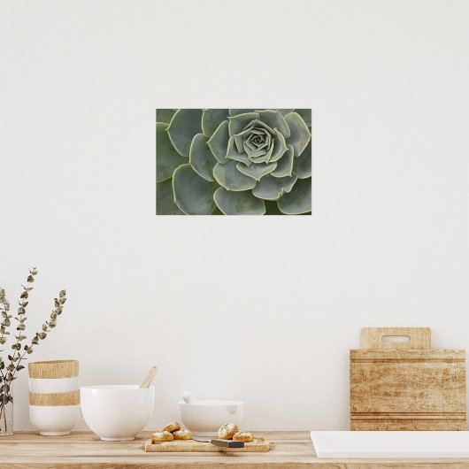 Cactuspatroon Poster (Keuken)