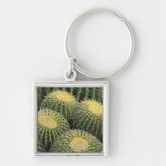 Cactuspatroon Sleutelhanger (Voorkant)