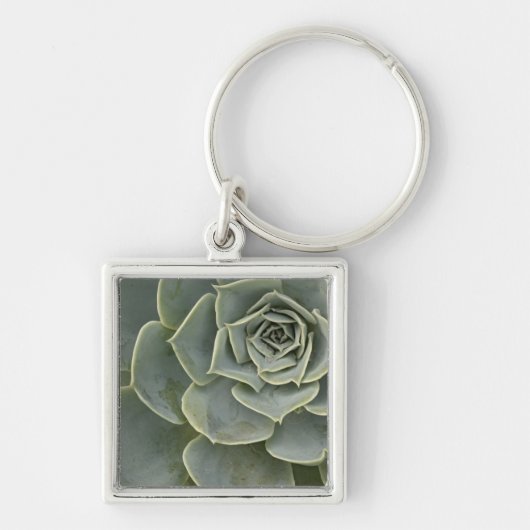 Cactuspatroon Sleutelhanger (Voorkant)