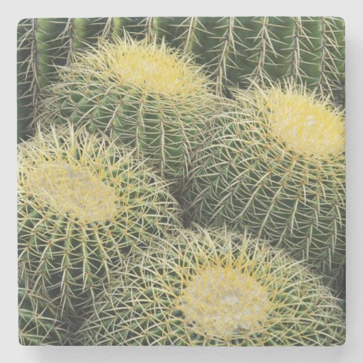 Cactuspatroon Stenen Onderzetter (Voorkant)