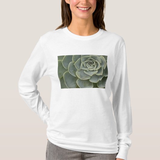 Cactuspatroon T-shirt (Voorkant)