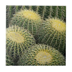 Cactuspatroon Tegeltje