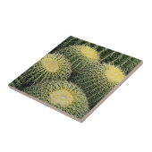 Cactuspatroon Tegeltje (Zijkant)