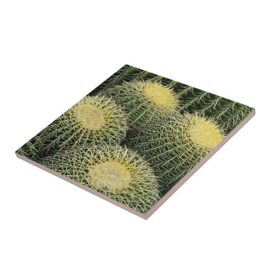 Cactuspatroon Tegeltje (Zijkant)