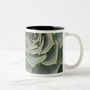 Cactuspatroon Tweekleurige Koffiemok