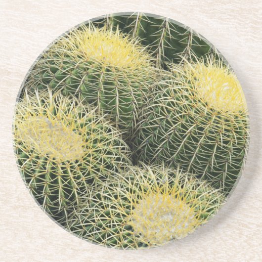 Cactuspatroon Zandsteen Onderzetter (Voorkant)