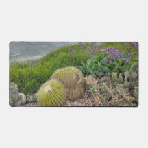 Cactusplanten  bureaumat  
