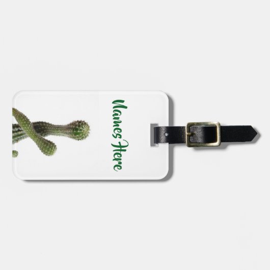 Cactusplanten foto  Aangepaste bagagelabel (Voorkant horizontaal)