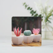 Cactussen (Staand voorkant)
